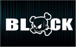X2 stickers KEN BLOCK (1)