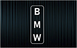 X2 Stickers BMW (2)